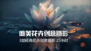 唯美花卉创意摄影3部曲 前后期实战课